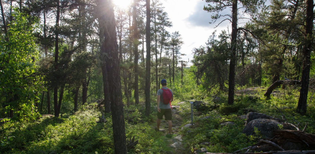 Hiker on trail surrounded by greenery