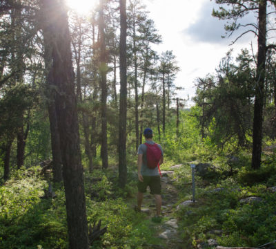 Hiker on trail surrounded by greenery