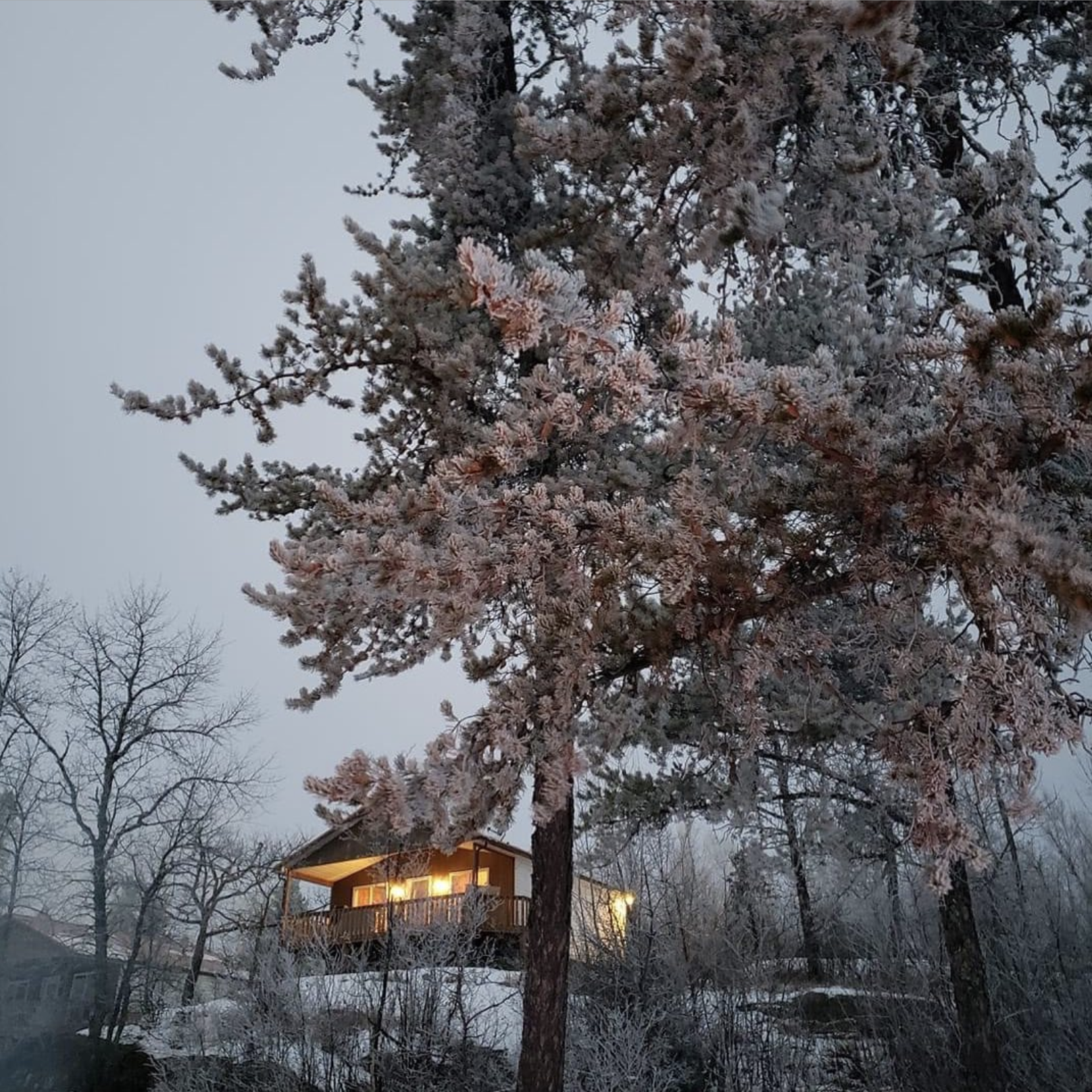 Where to Shop in the Whiteshell - Winter Edition | Explore the Whiteshell